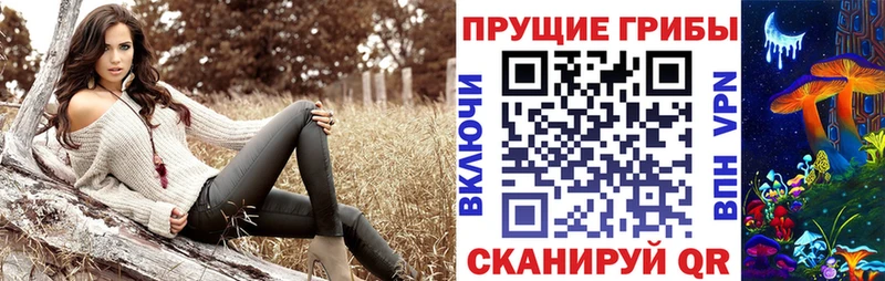 Псилоцибиновые грибы прущие грибы  Горняк 